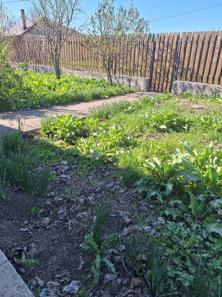 Gradistea, casa de vanzare