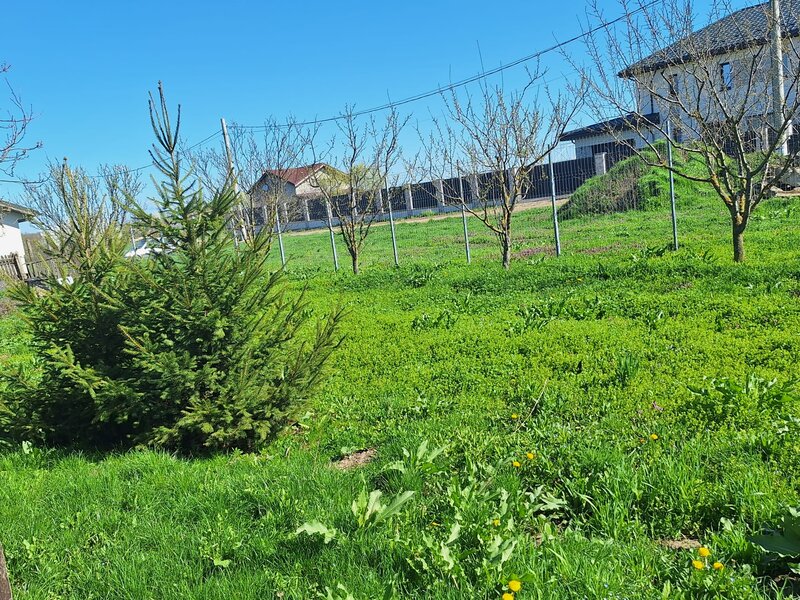 Gradistea, casa de vanzare