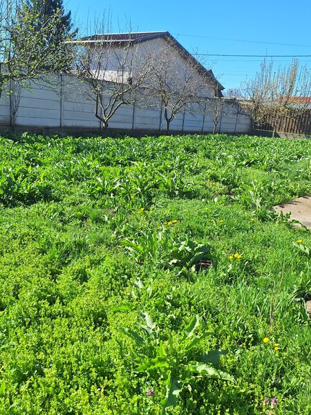 Gradistea, casa de vanzare