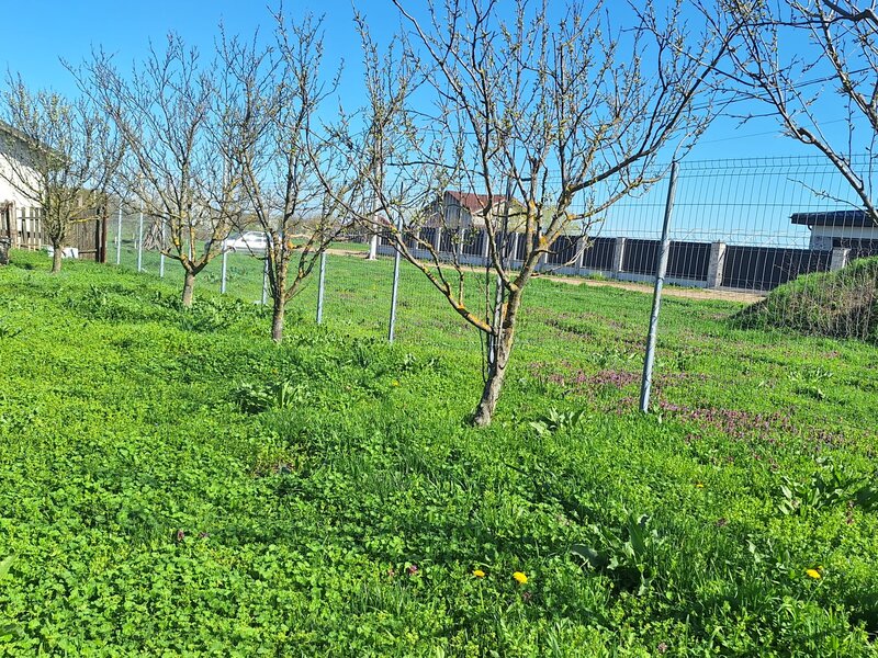 Gradistea, casa de vanzare